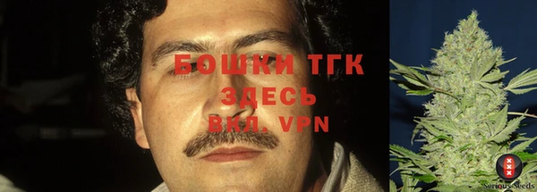 бошки Лабытнанги
