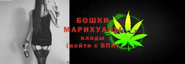 гидра Верхний Тагил