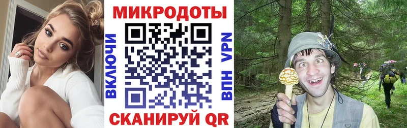 Галлюциногенные грибы мухоморы  Тутаев 