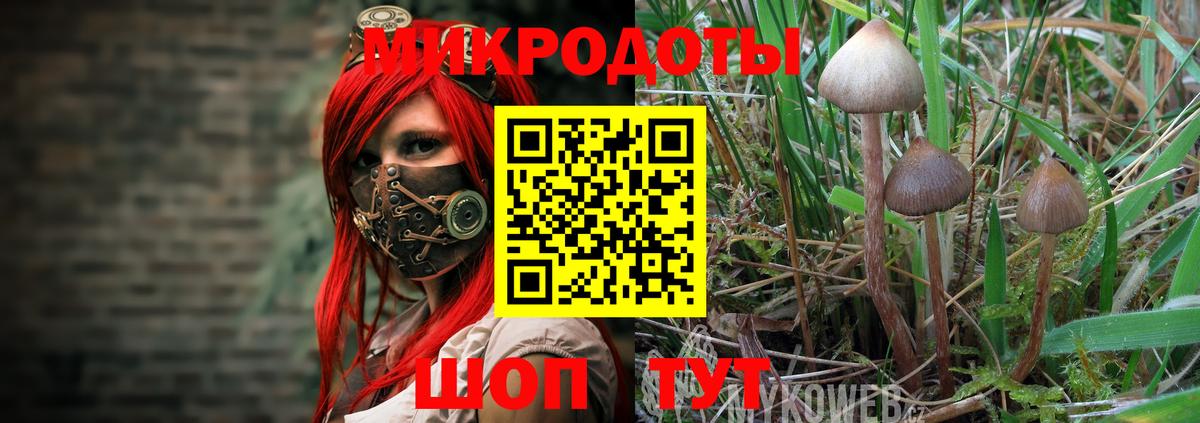 Псилоцибиновые грибы ЛСД  Тутаев 